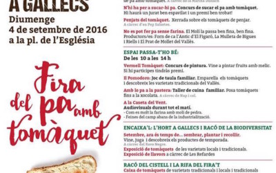 Taller “El calaix del pa”